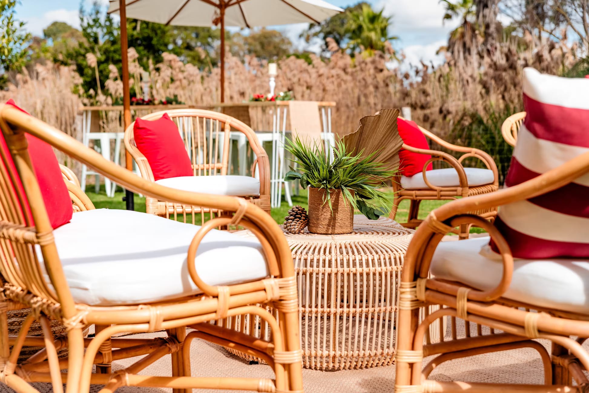 Secret Garden, Werribee Open Range Zoo image 2