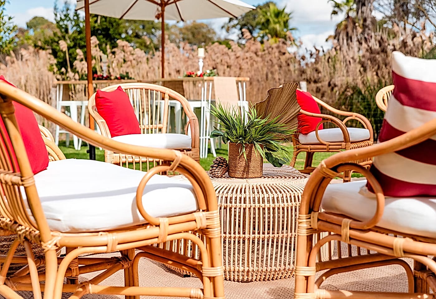 Secret Garden, Werribee Open Range Zoo image 2