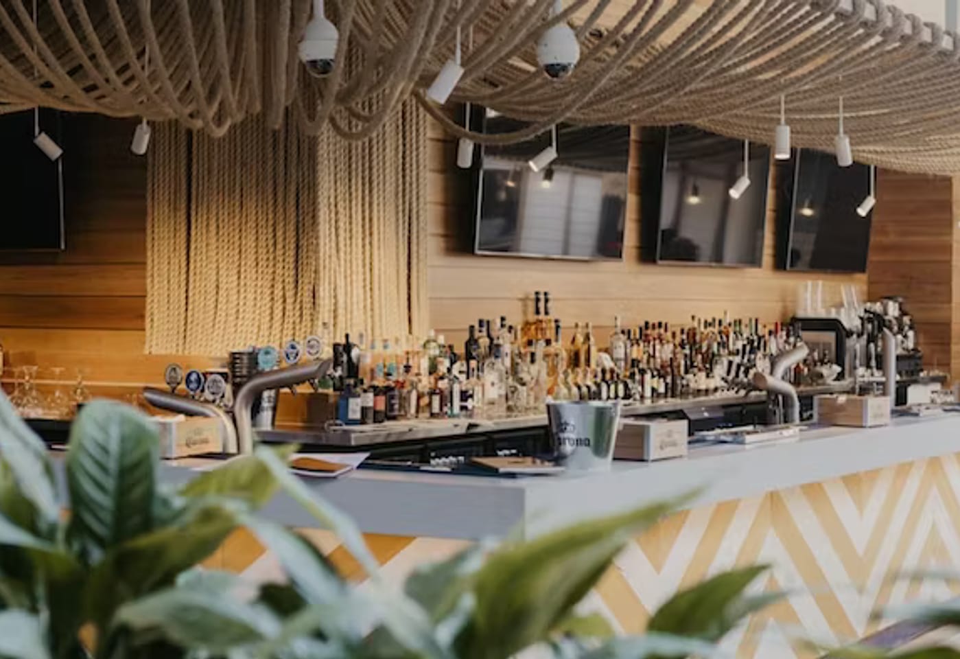 Surfers Paradise Beer Garden | Palm Tree Alley Exclusive Hire | Venue Hire Gold Coast | 3