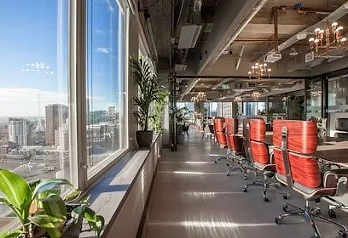 The Abel Boardroom, The Cluster image 3