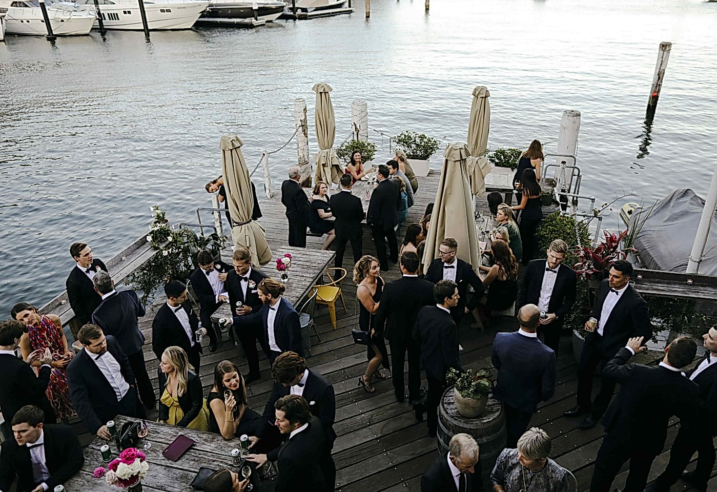The Flying Bear Deck, Foys Kirribilli image 3