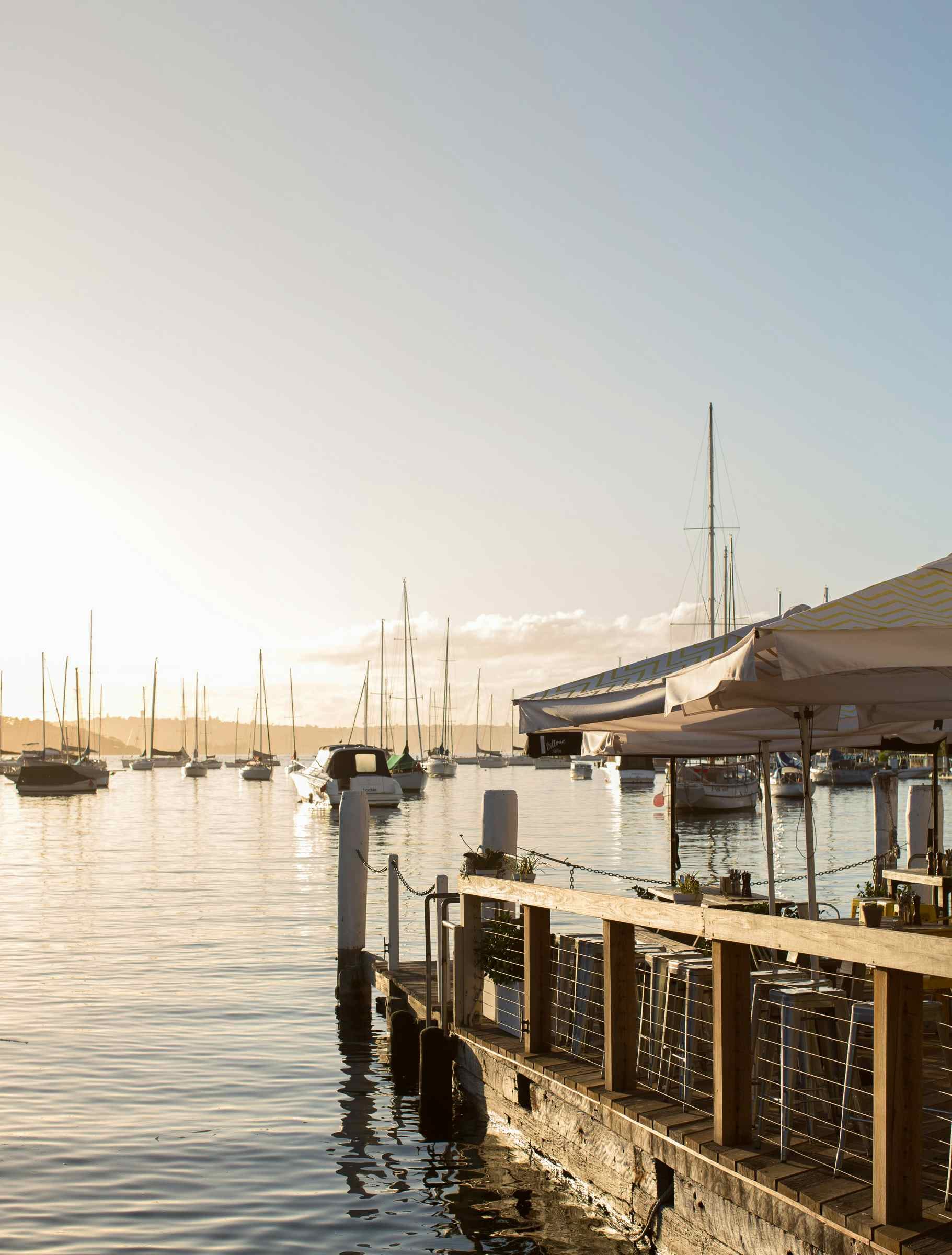 The Flying Bear Deck, Foys Kirribilli1