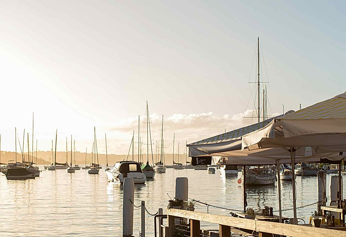 The Flying Bear Deck, Foys Kirribilli1