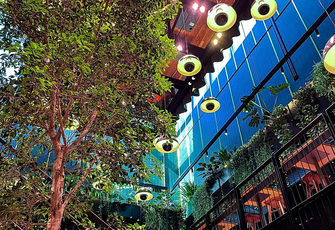 The Frontline, Sound Garden image 3