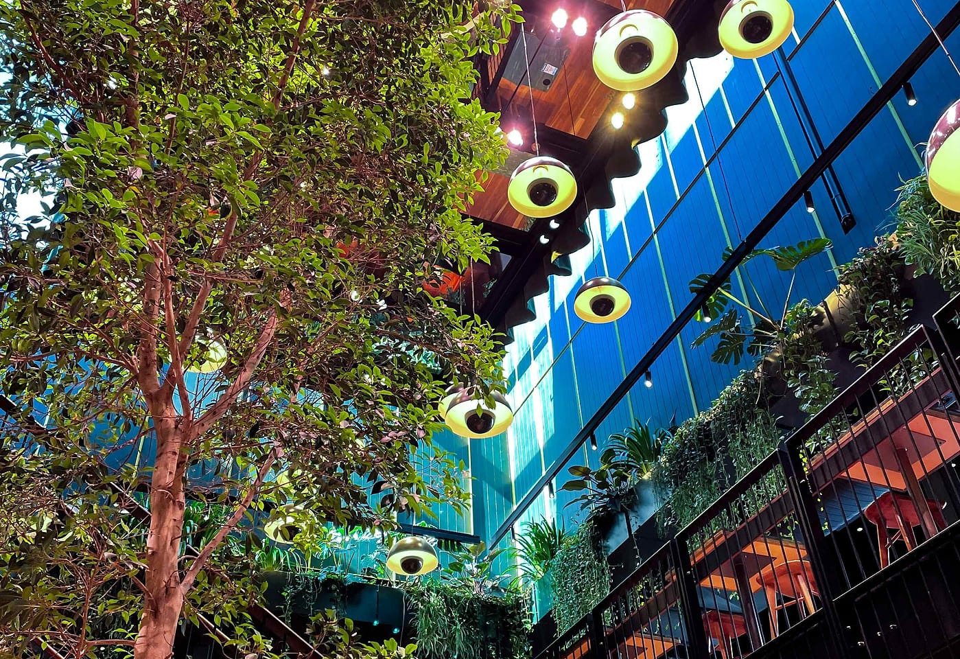 The Frontline, Sound Garden image 3