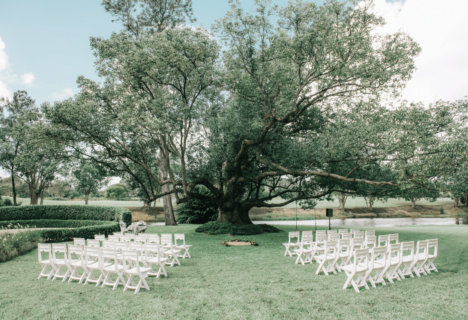 The Tree, Braeside at Gin House Creek Estate image 3