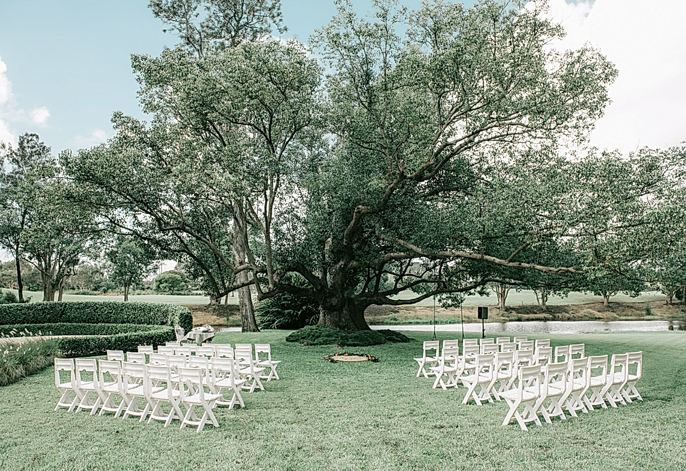 The Tree, Braeside at Gin House Creek Estate image 3