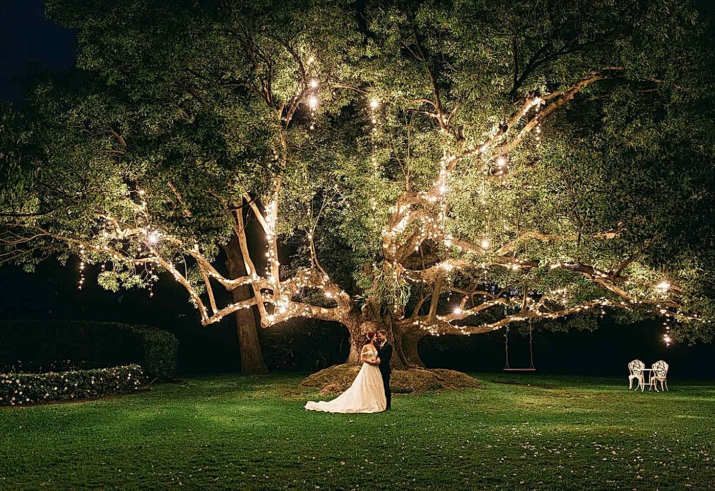 The Tree, Braeside at Gin House Creek Estate image 2