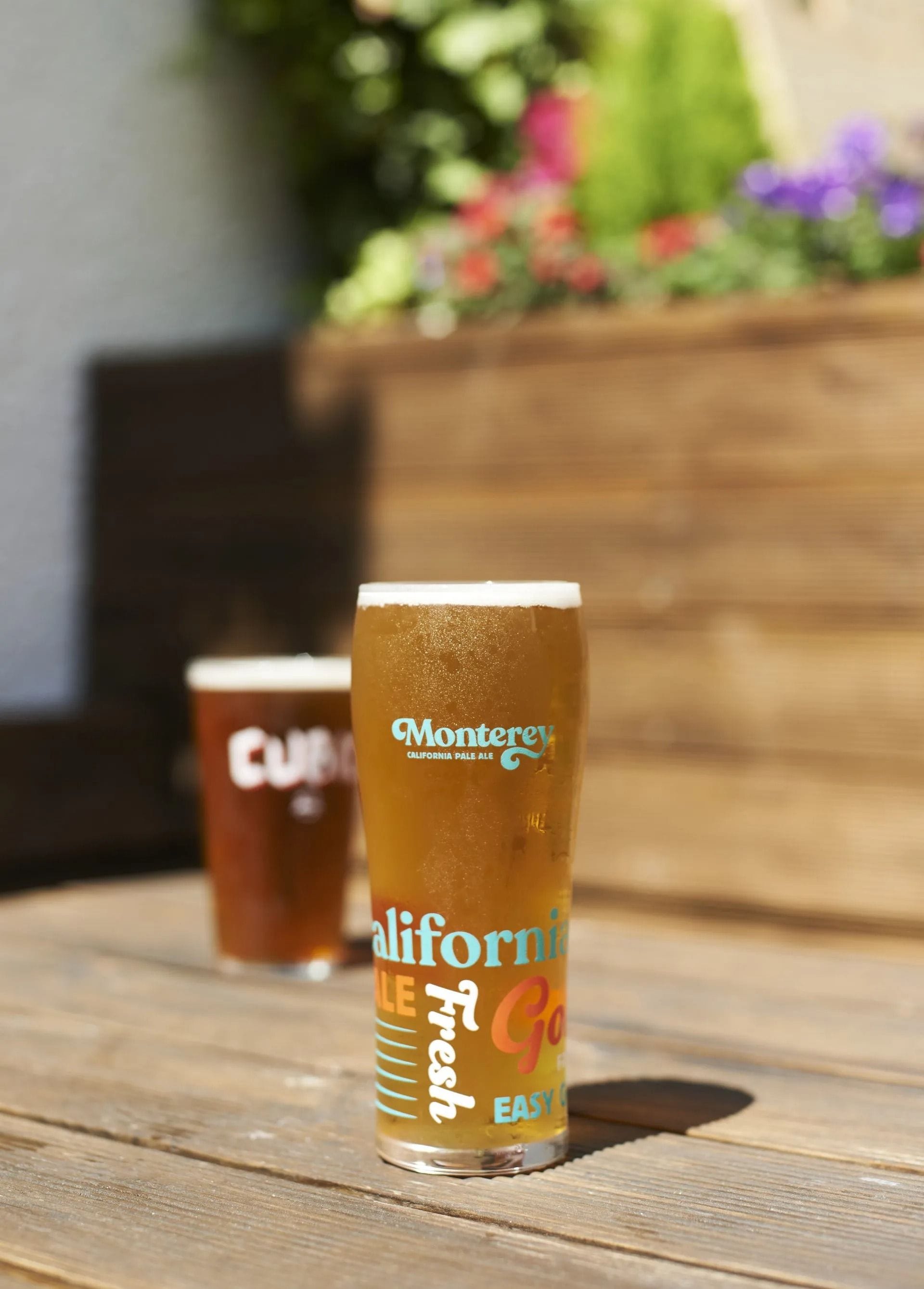 The albion pub clifton