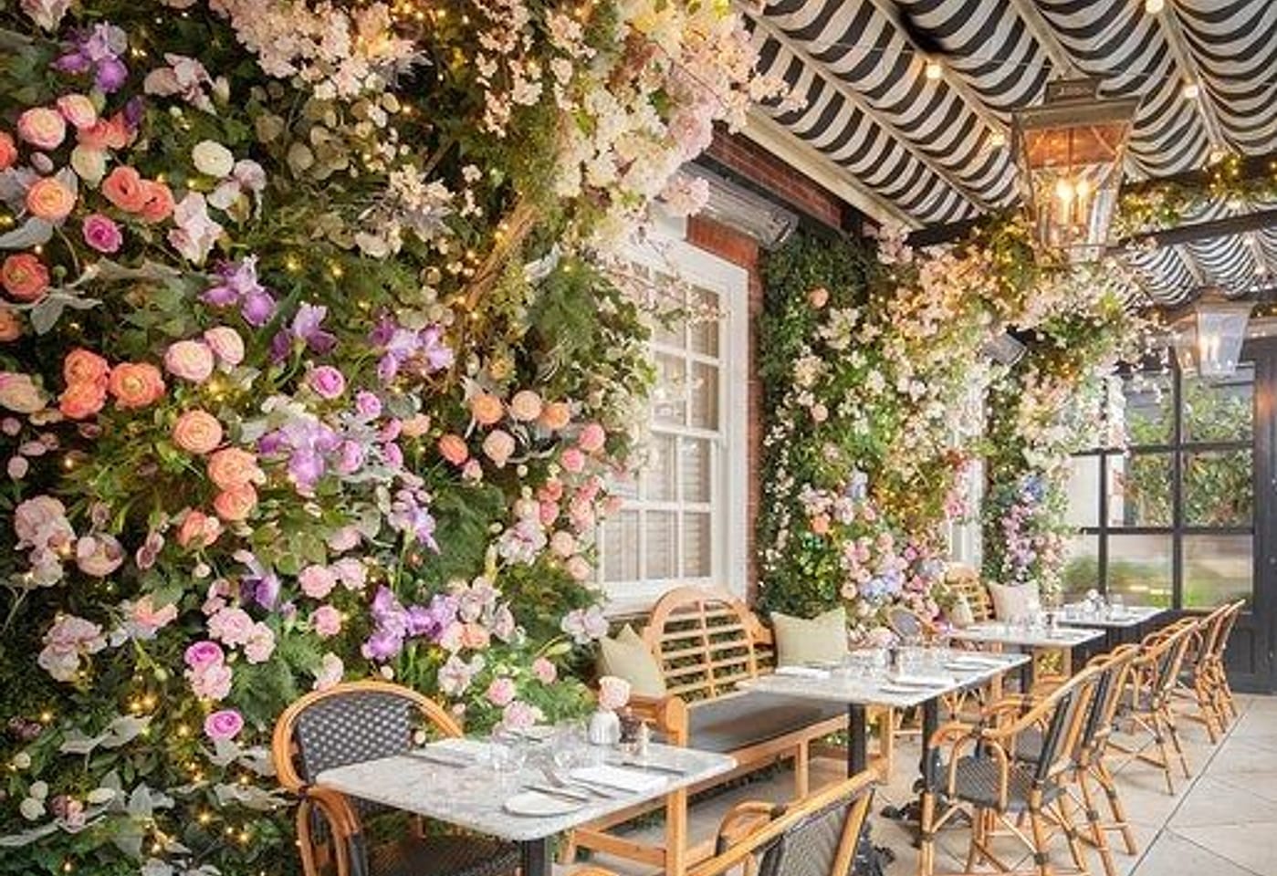 Verdant luxury just off TCR: The Dalloway Terrace image 3