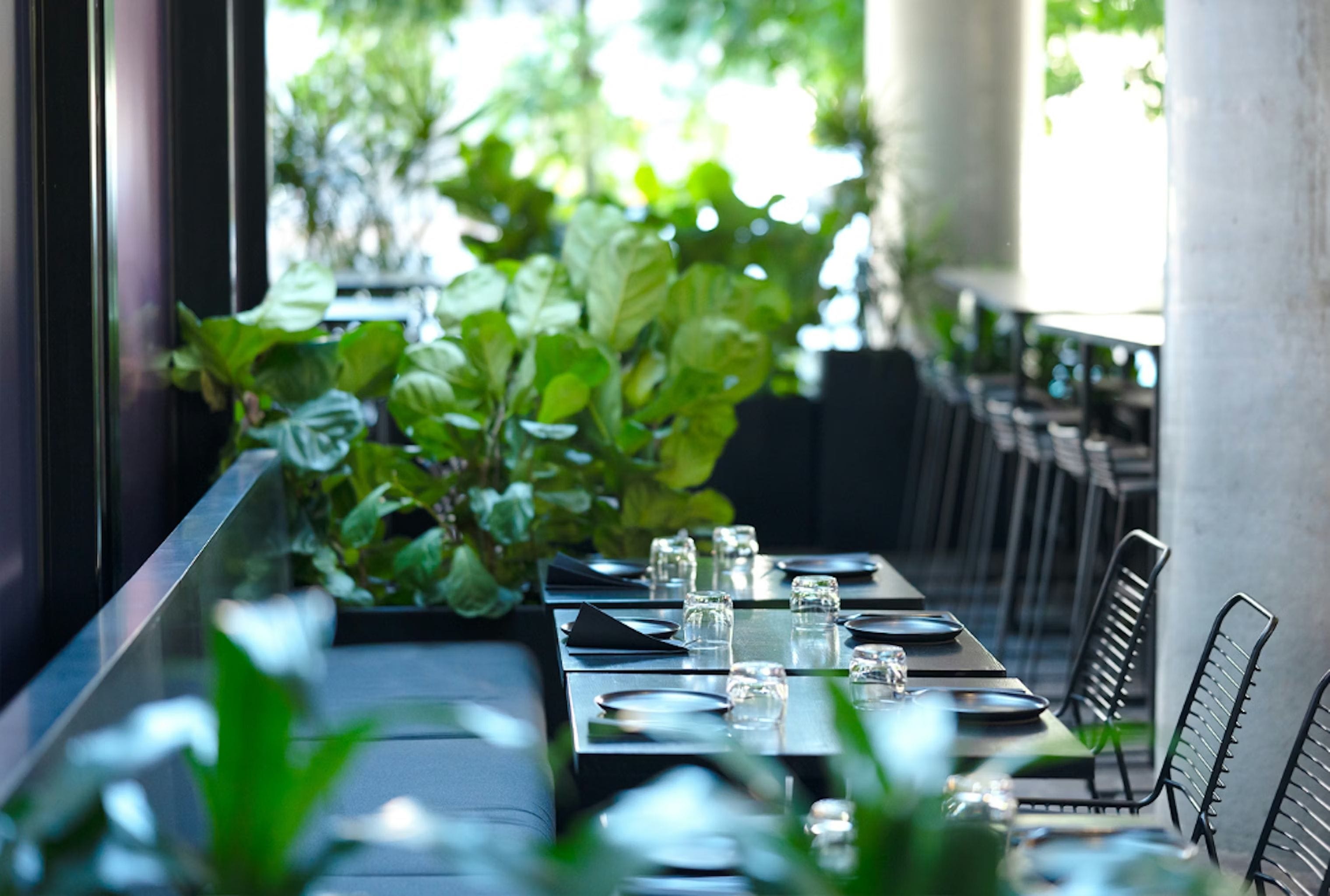 The Courtyard, DUCKFAT image 2