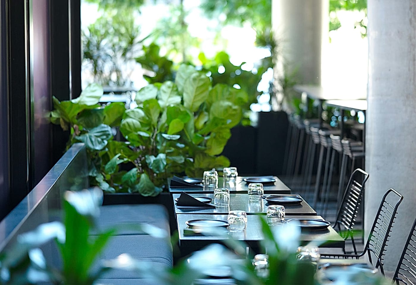 The Courtyard, DUCKFAT image 2