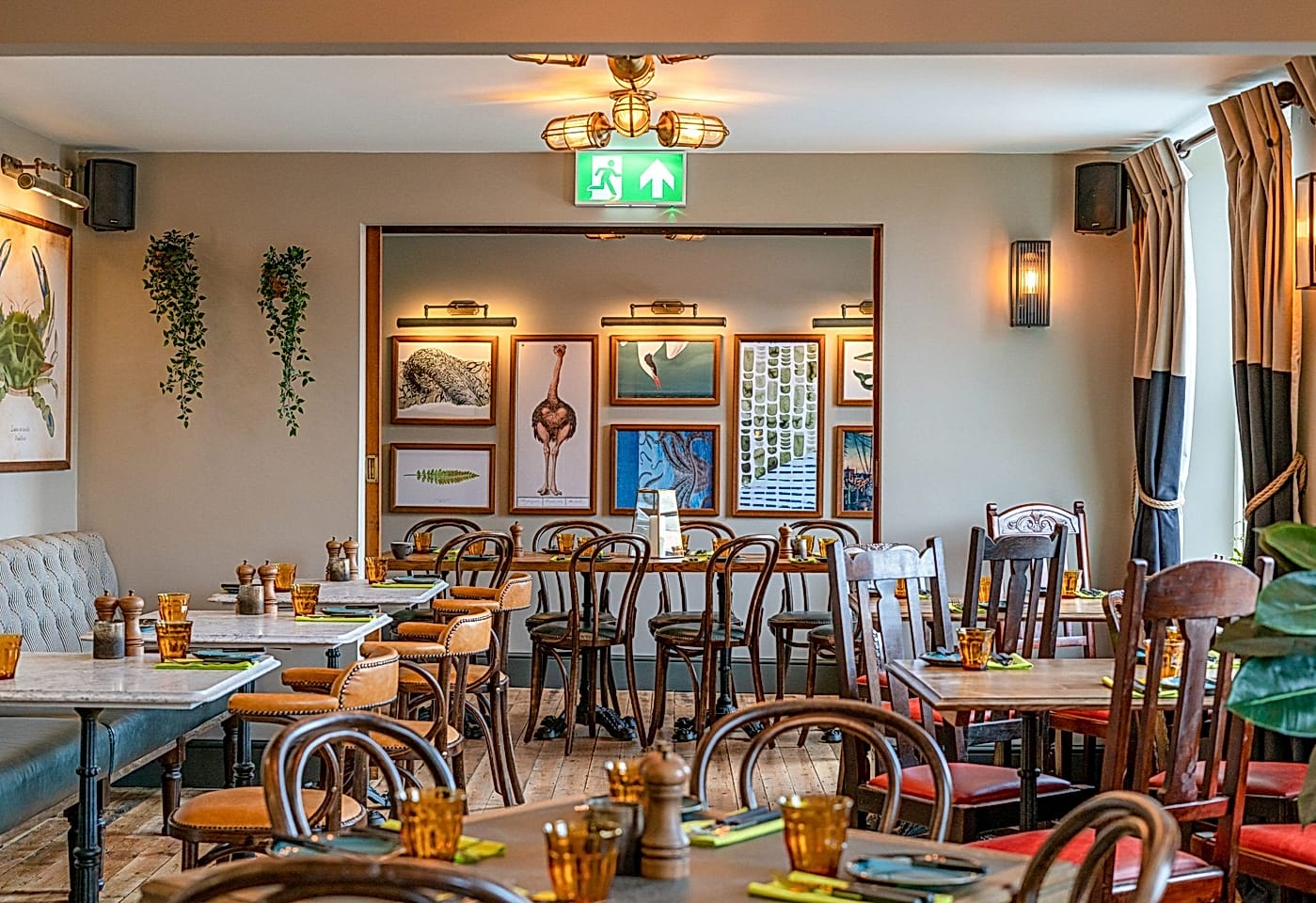 The ostrich bristol 1