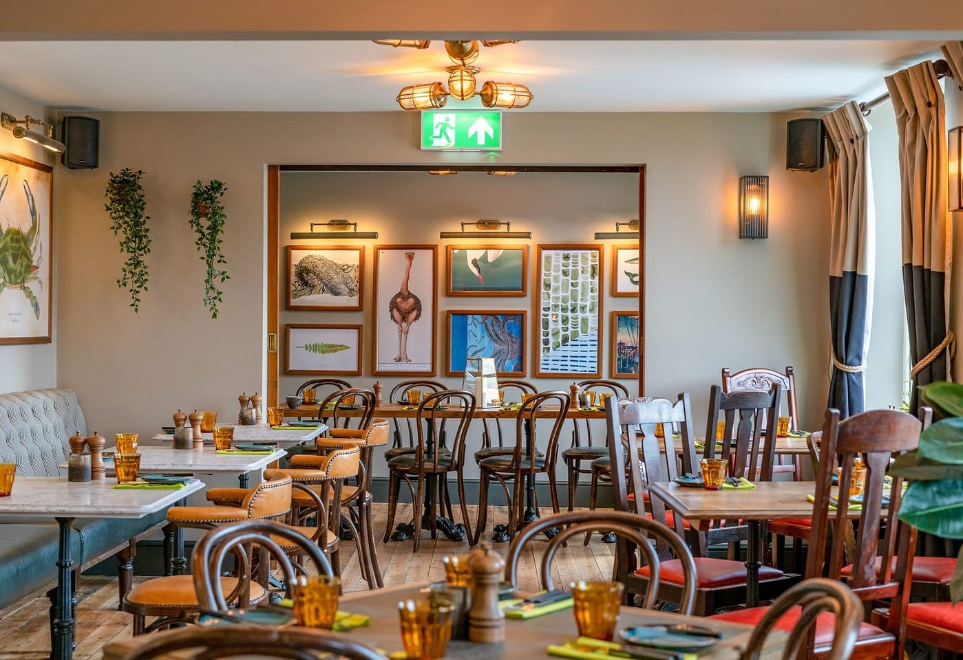 The ostrich bristol 1