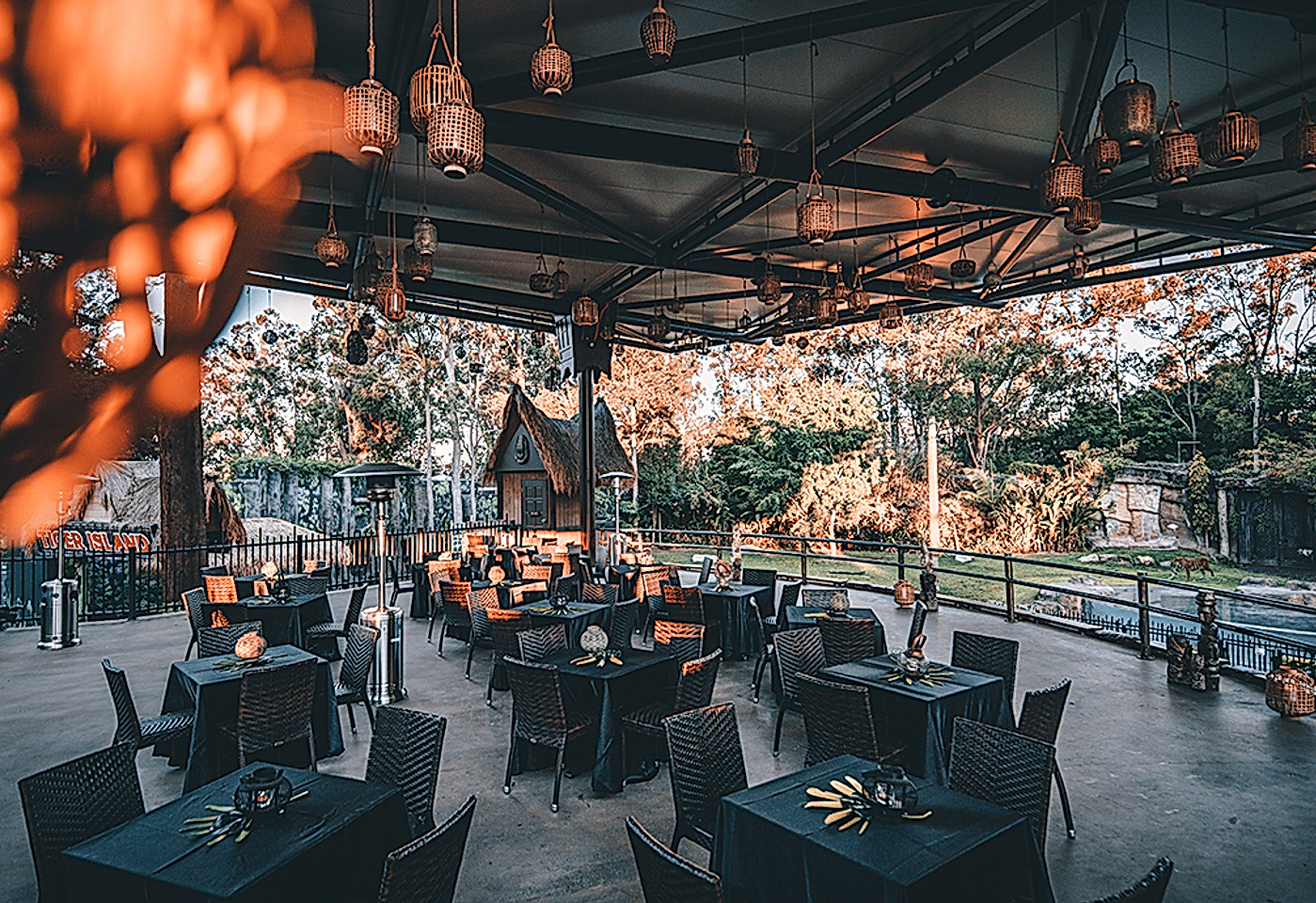 Tiger Island, Dreamworld1