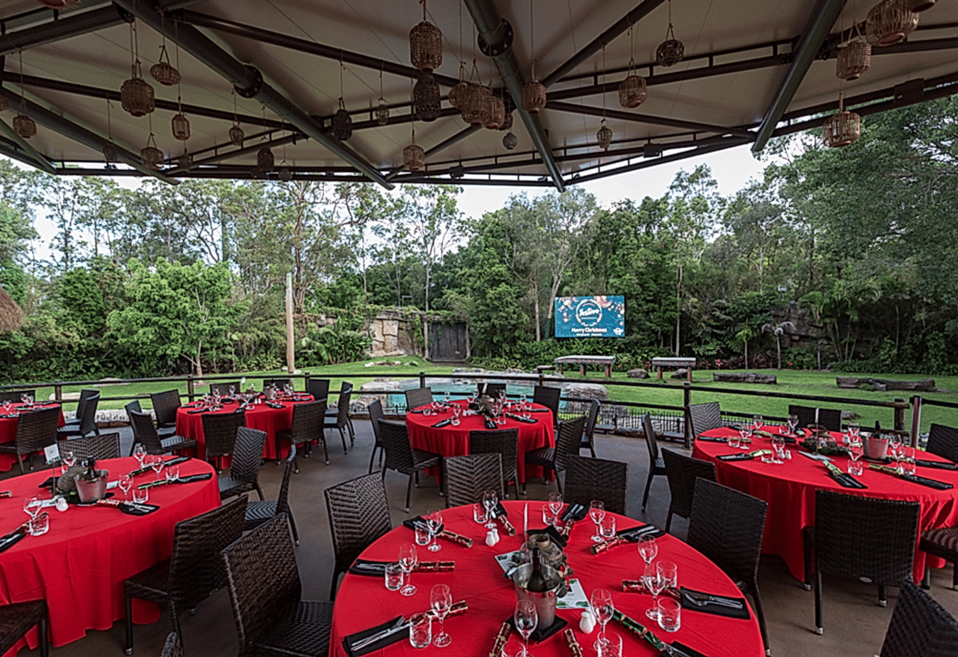 Tiger Island, Dreamworld image 3