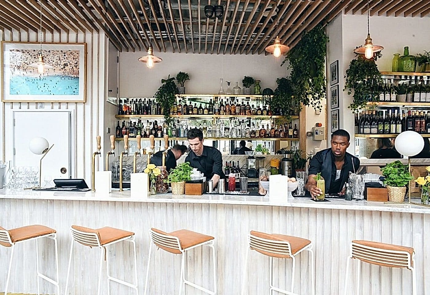 Timmy Green Victoria Christmas Party