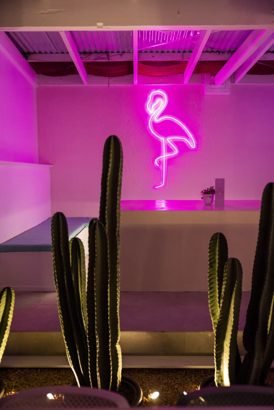 Tropic Vice | View of Booth | Venue Hire Gold Coast | 3