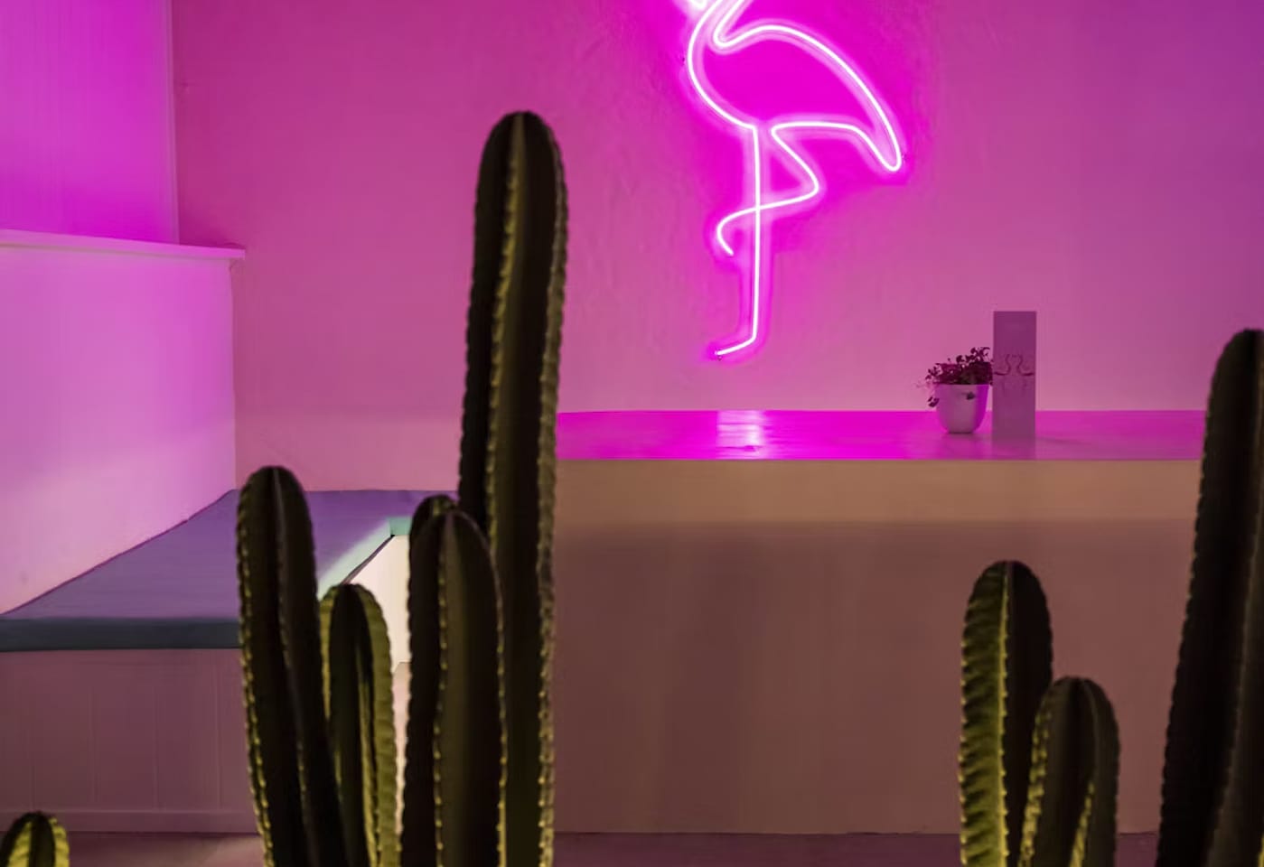 Tropic Vice | View of Booth | Venue Hire Gold Coast | 3