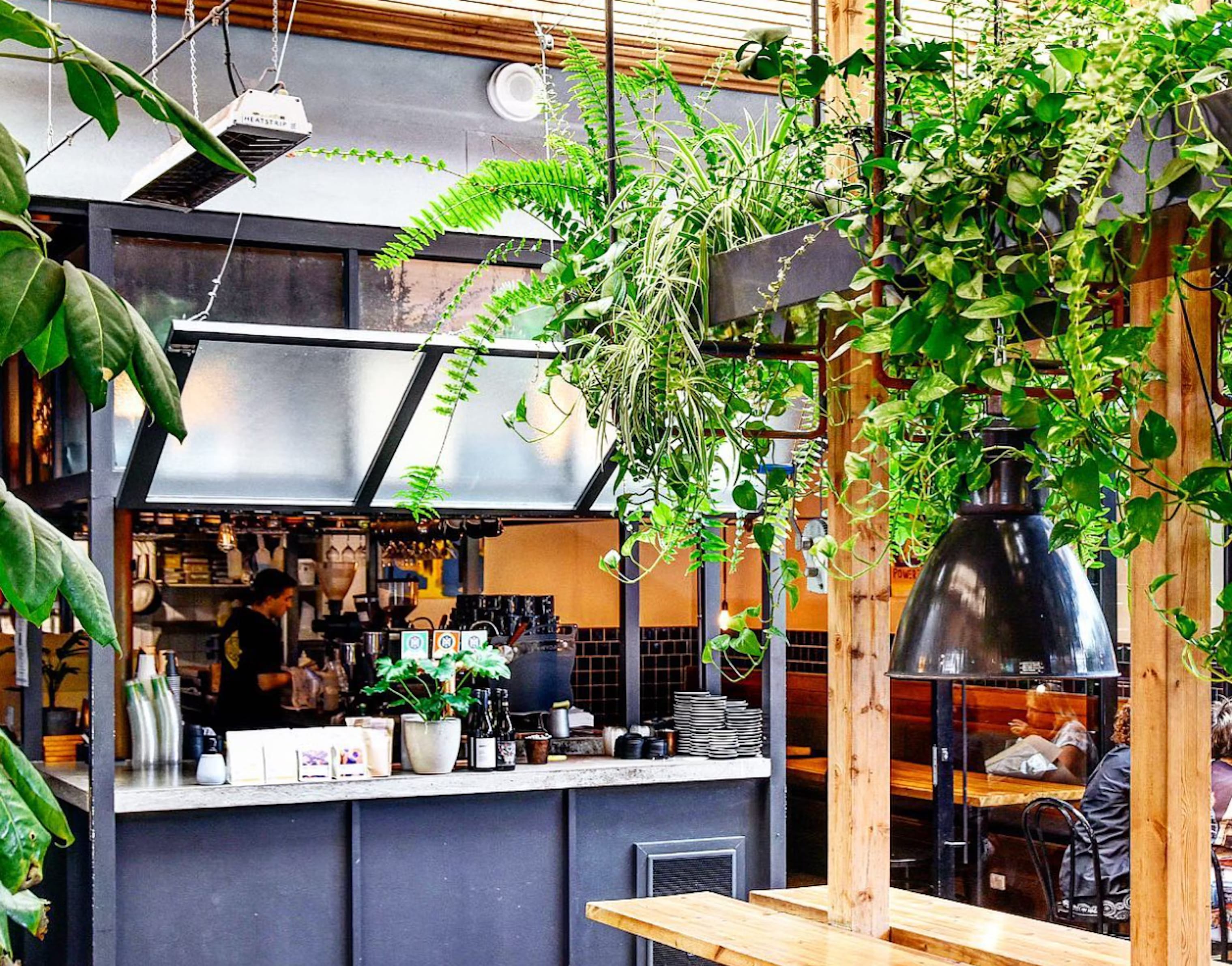 Whistle & Flute | Whistle & Flute | Venue Hire Adelaide | 1