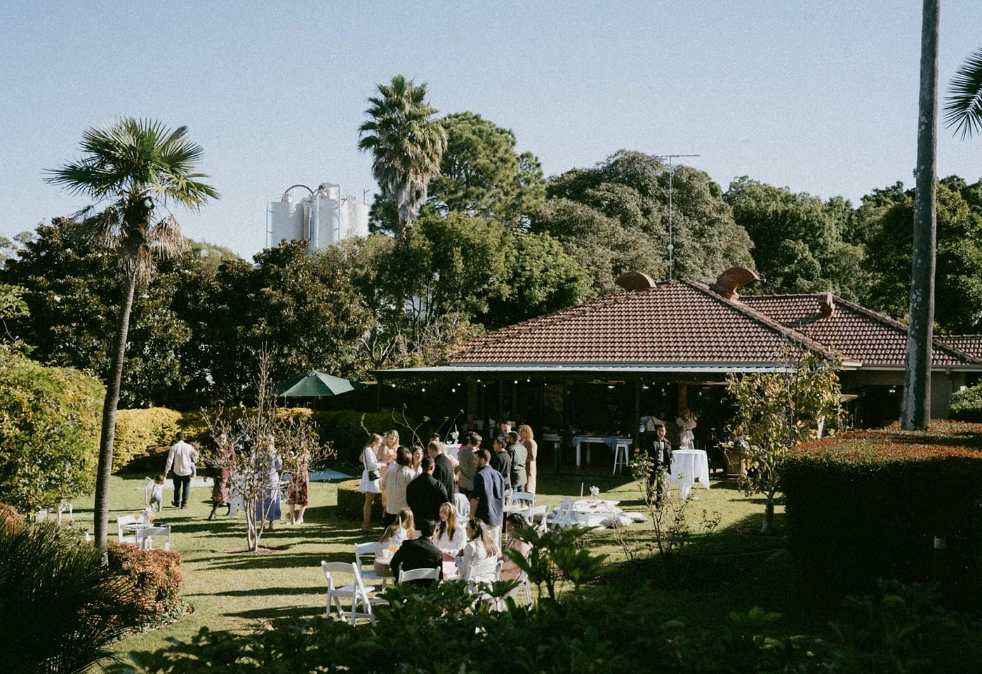 Will and Mikes, Will and Mikes1