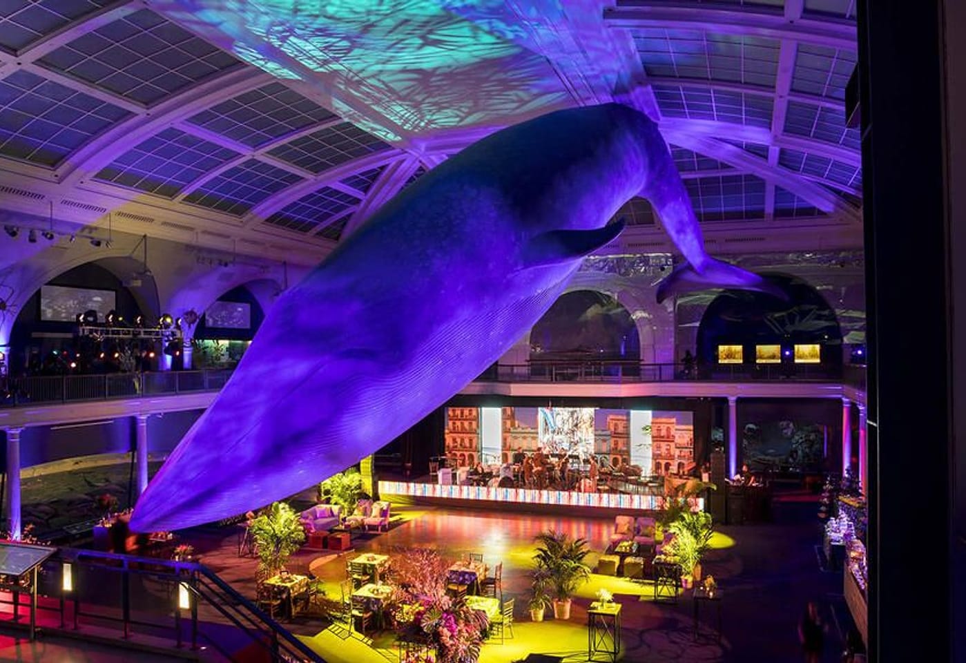 american museum of natural history upper west side party venue nyc