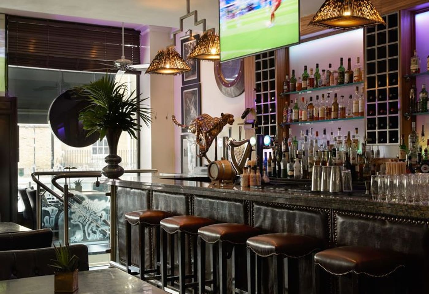 The Victoria bar that brings South Africa to you: Bbar image 2
