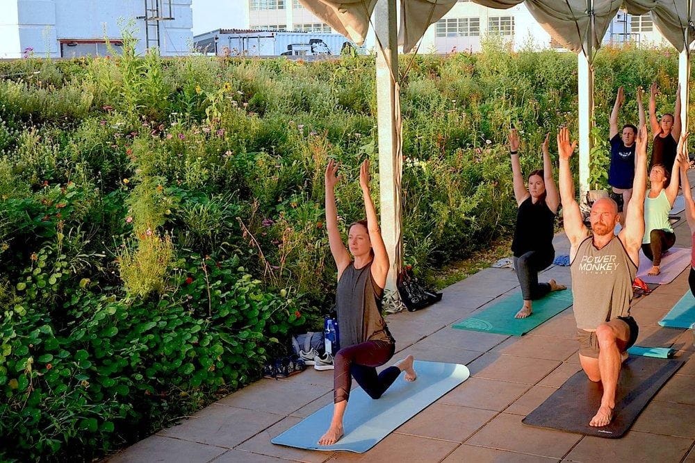 brooklyn grange brooklyn team building activities NYC