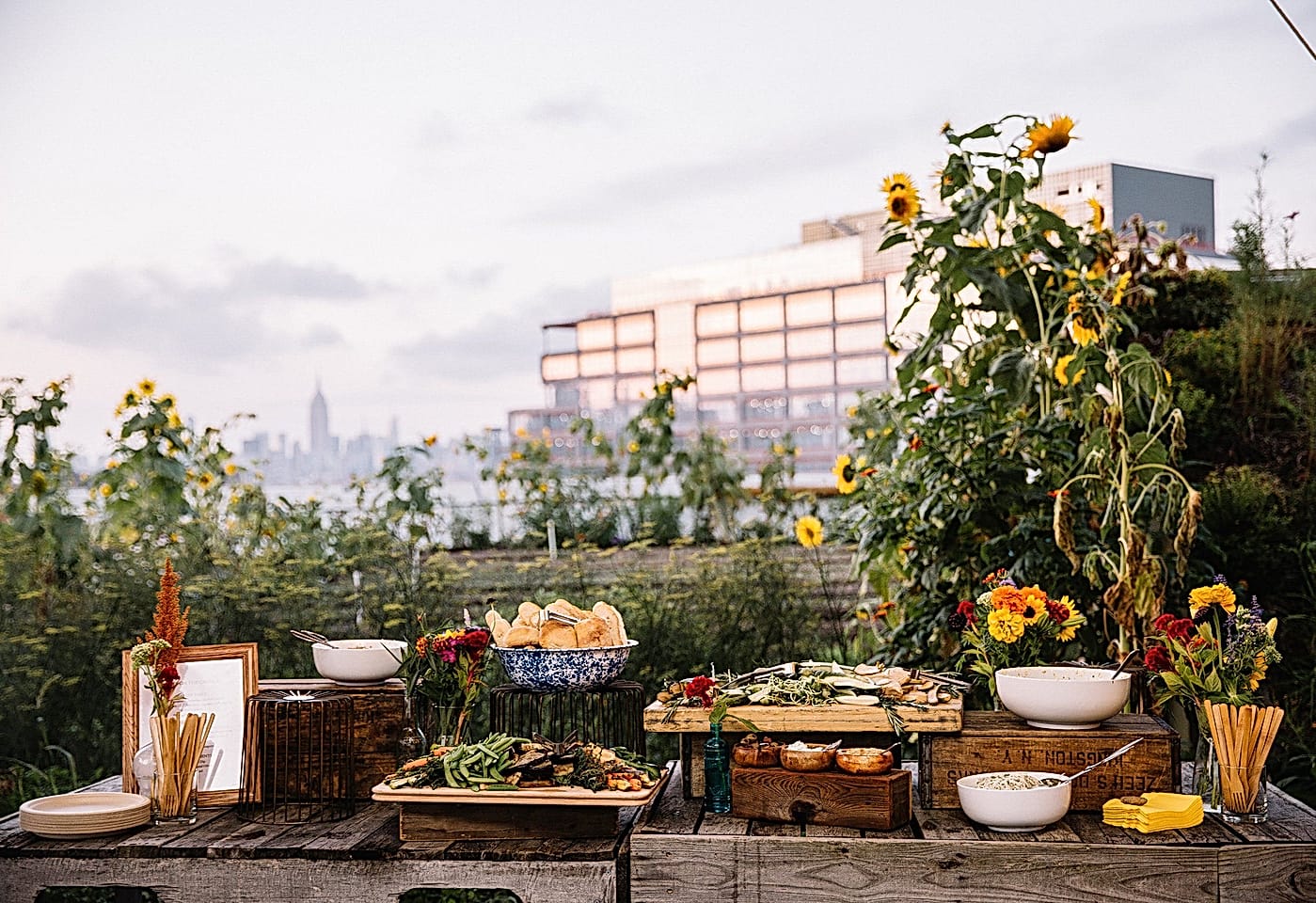 A farm where even New Yorkers can feel at home: Brooklyn Grange image 2