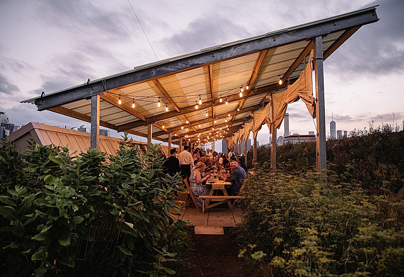 A farm where even New Yorkers can feel at home: Brooklyn Grange image 3