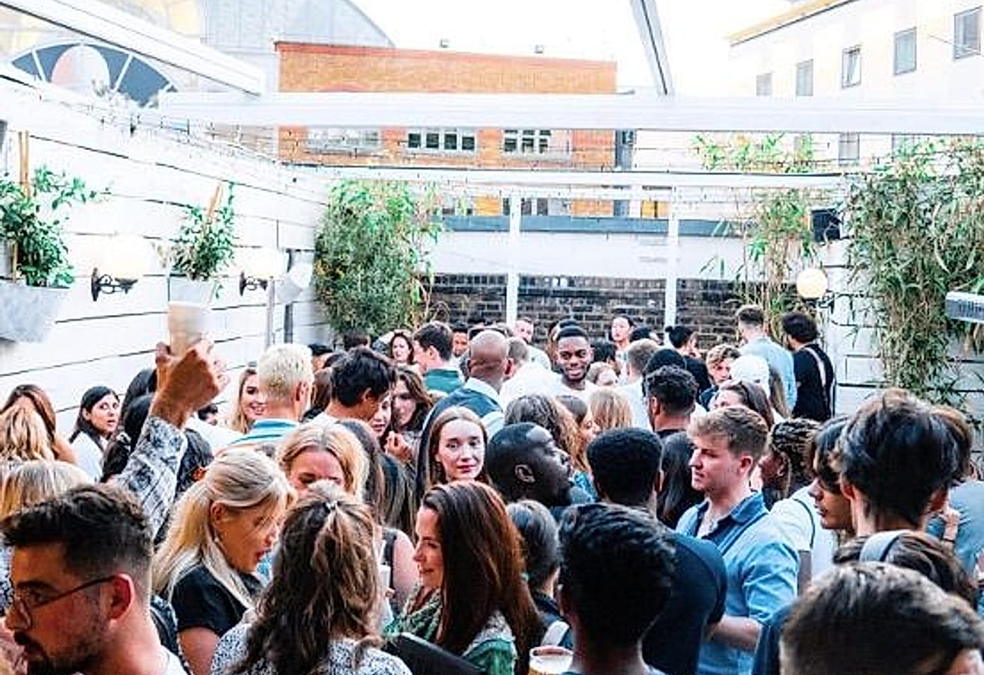 A mini tropical paradise: Bubba Oasis image 2