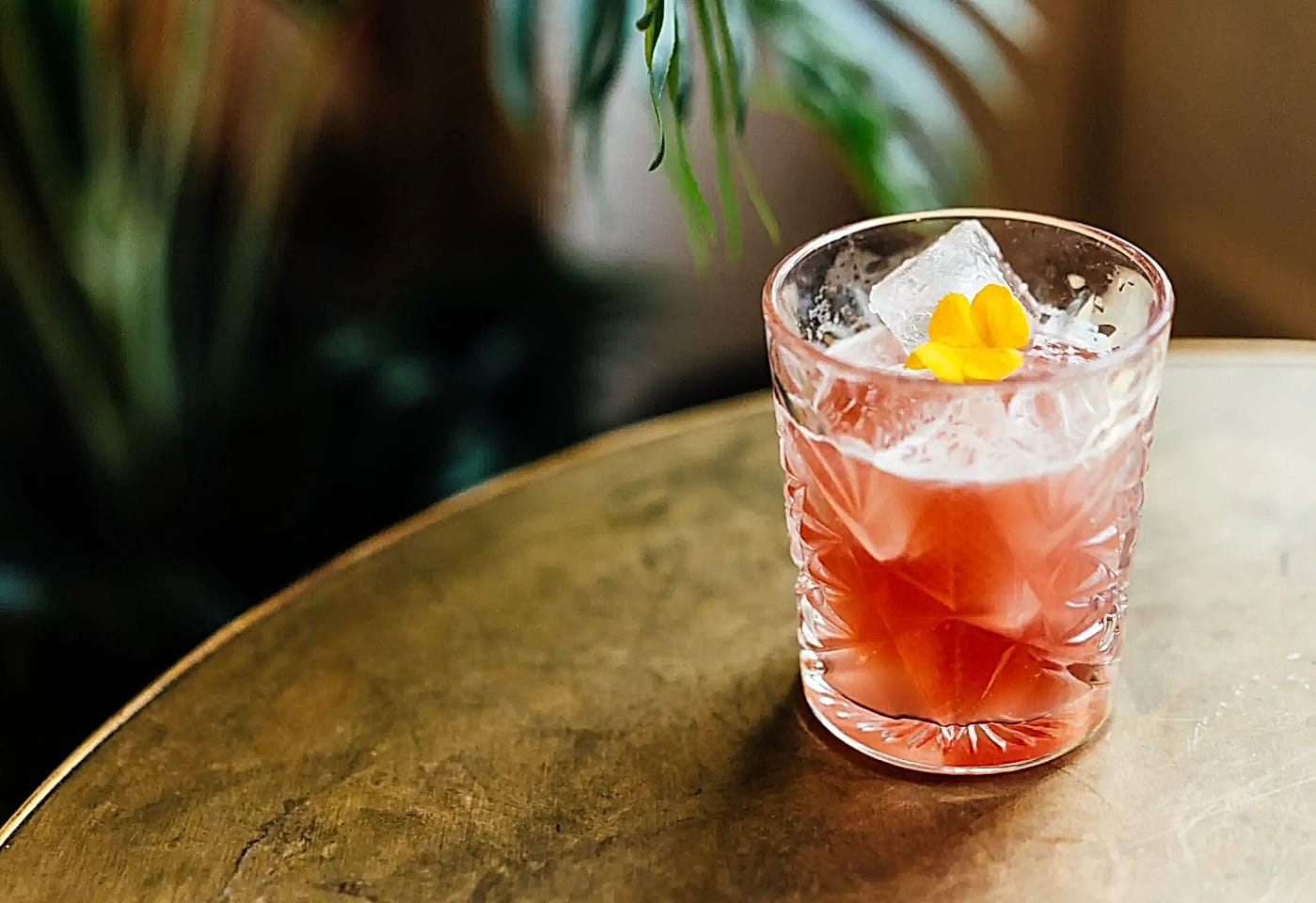 a cocktail at cellar at kindred hammersmith london bar