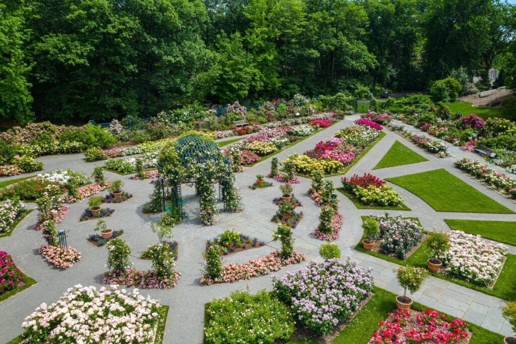 A children's birthday party in nature's playground: New York Botanical Garden  image 2