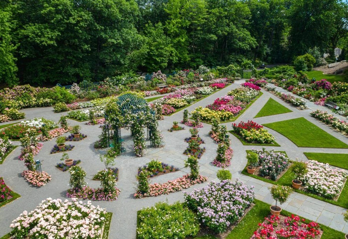 A children's birthday party in nature's playground: New York Botanical Garden image 2