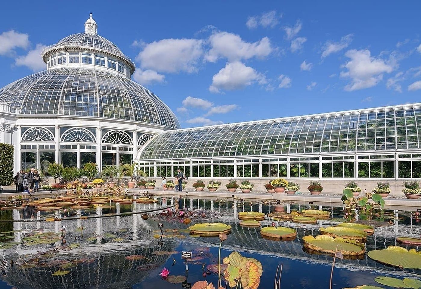 A children's birthday party in nature's playground: New York Botanical Garden 1