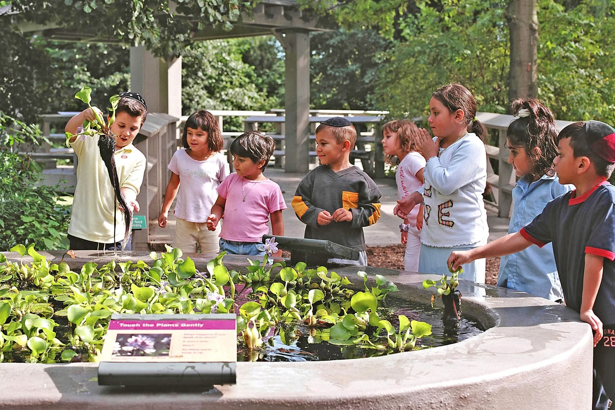 A children's birthday party in nature's playground: New York Botanical Garden  image 3