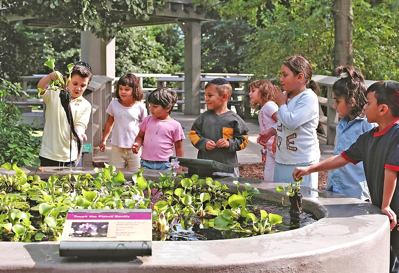 A children's birthday party in nature's playground: New York Botanical Garden image 3