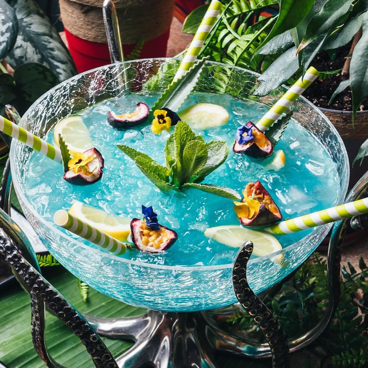 The Rum Diary: Cottons image 3