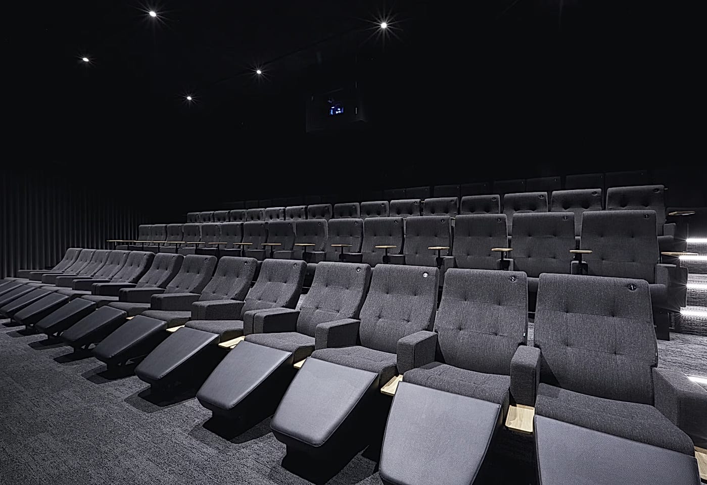 curzon party venue north london