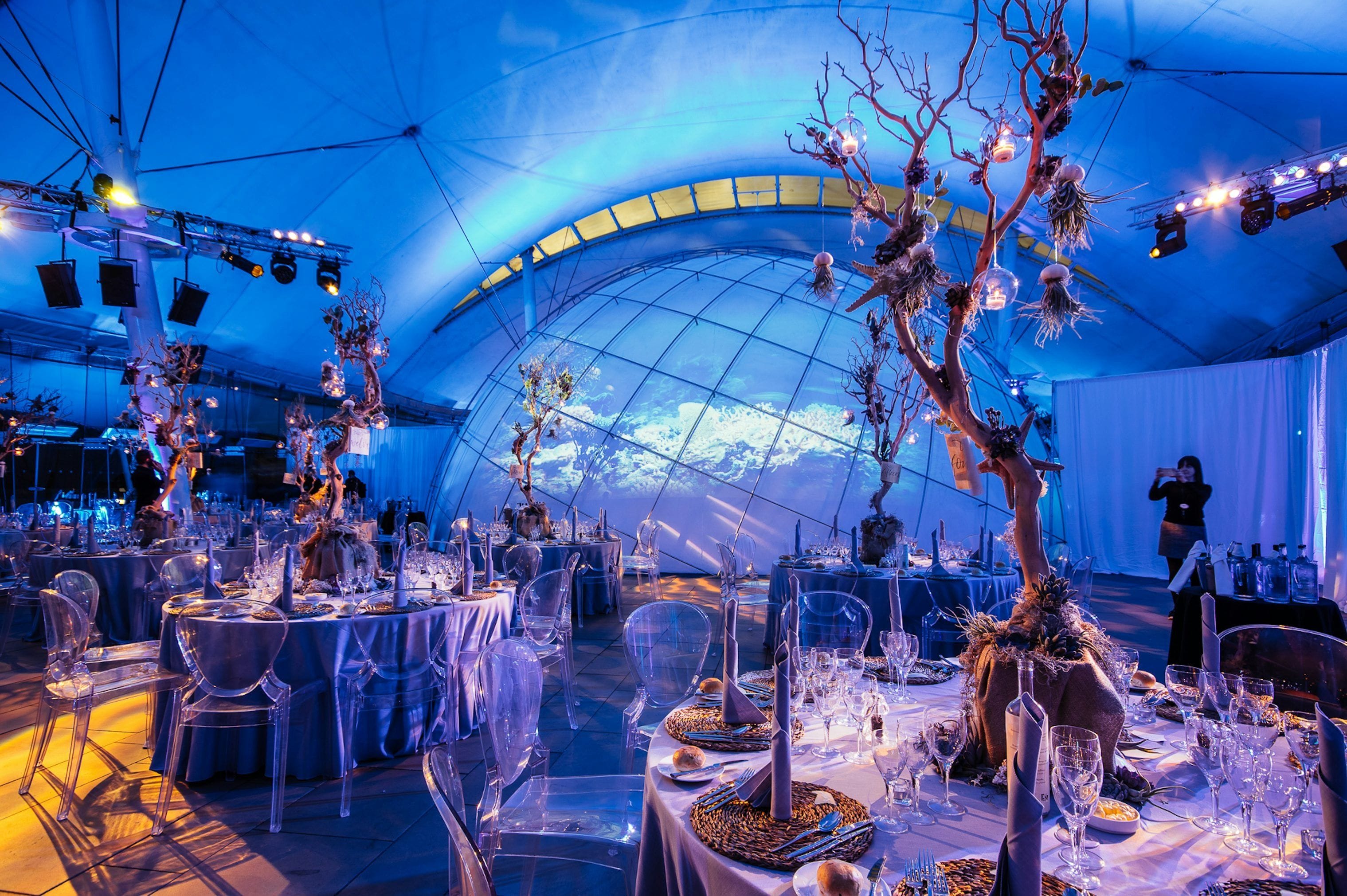 dynamic earth edinburgh