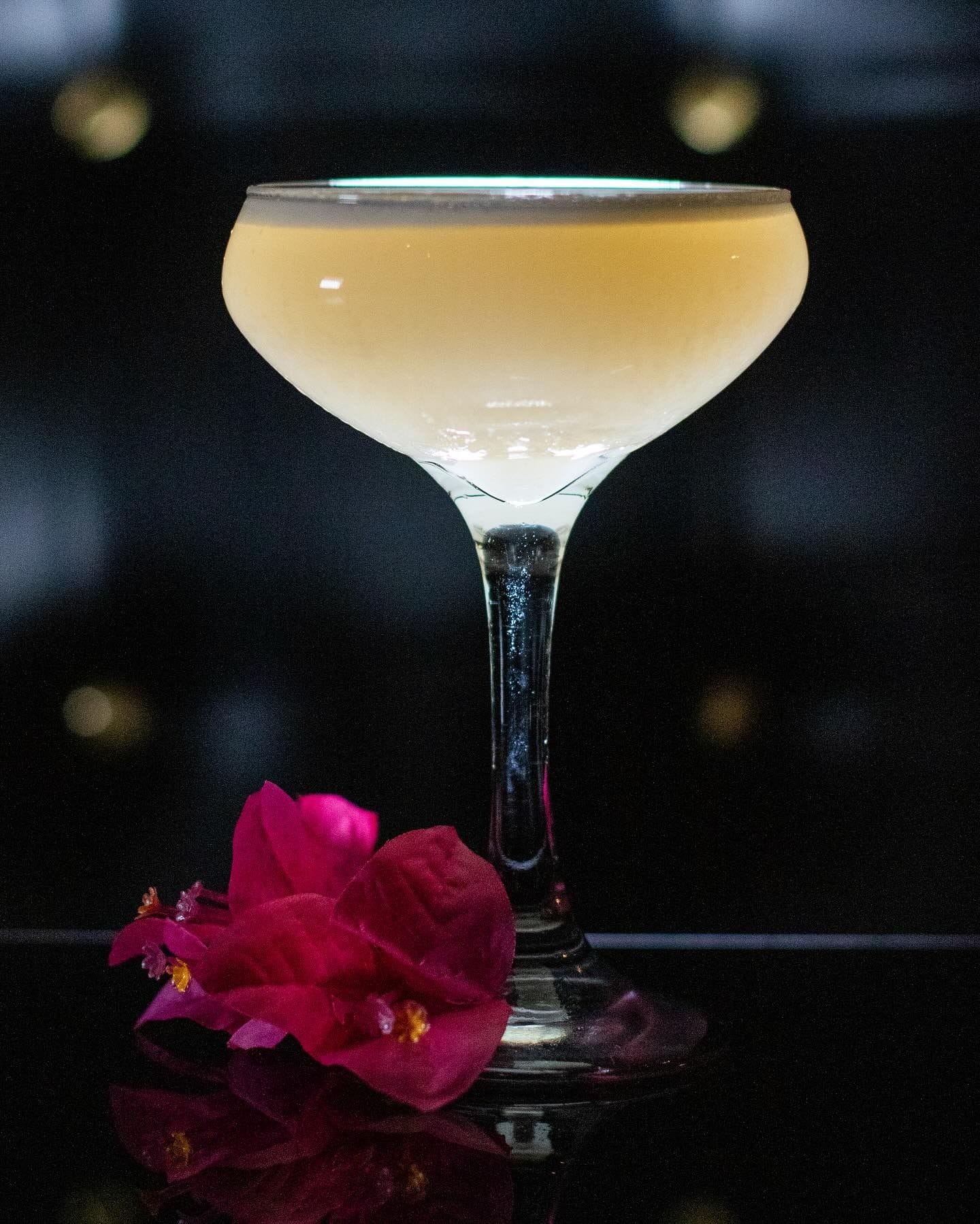 cocktail at hotel chantelle new york party venue