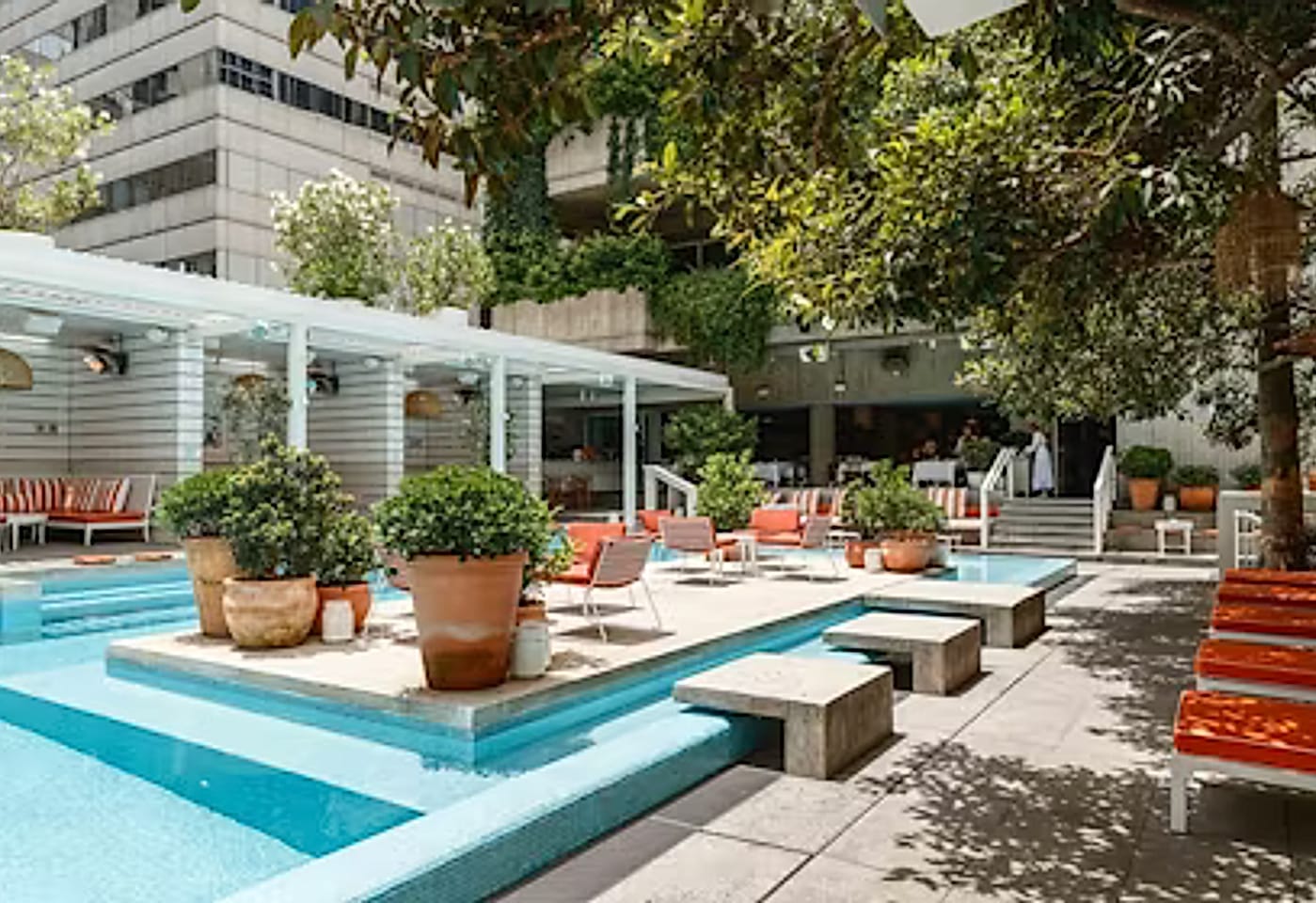 ivy Pool, ivy precinct image 3