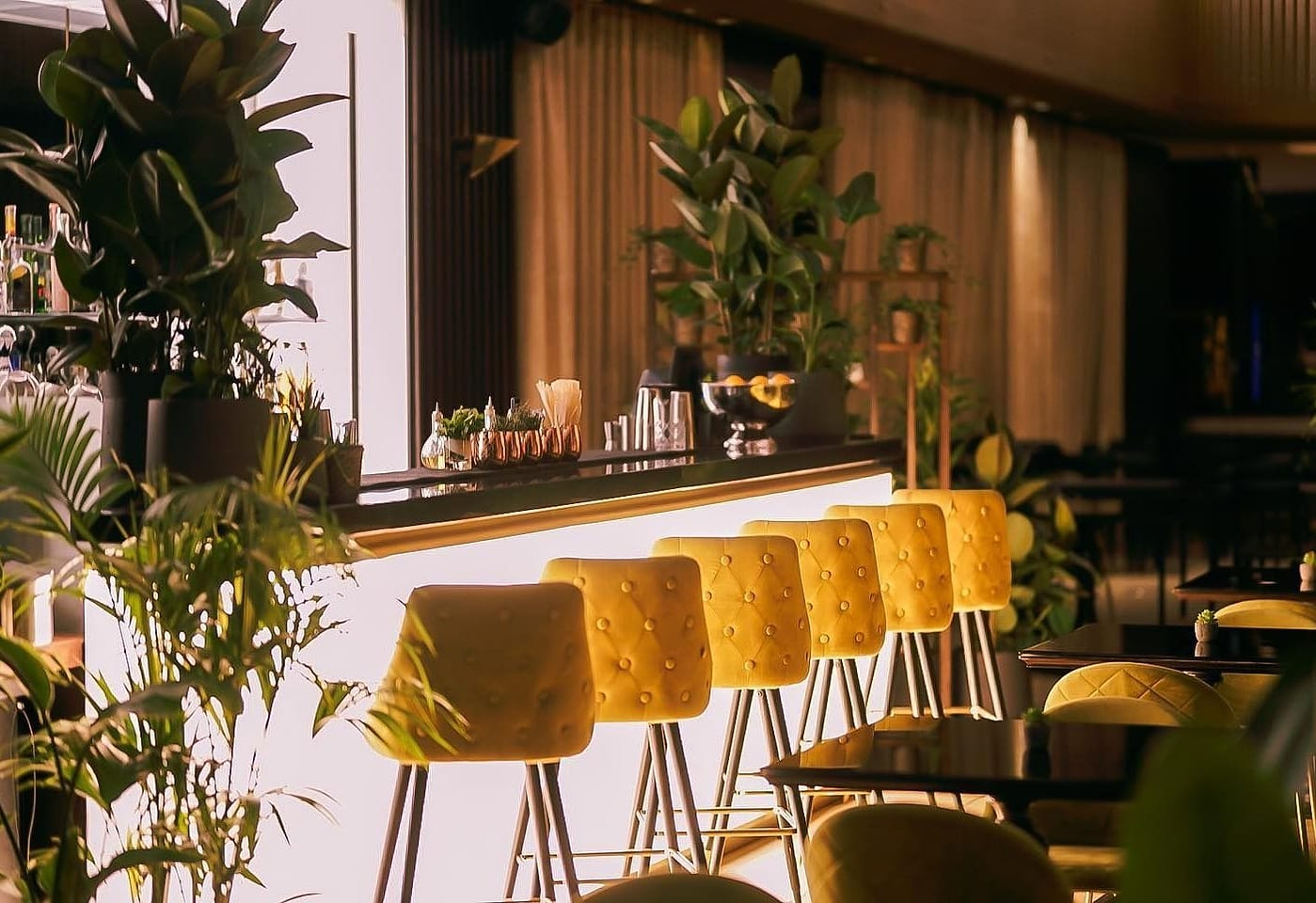 interior of jin bar shepherds bush london bar