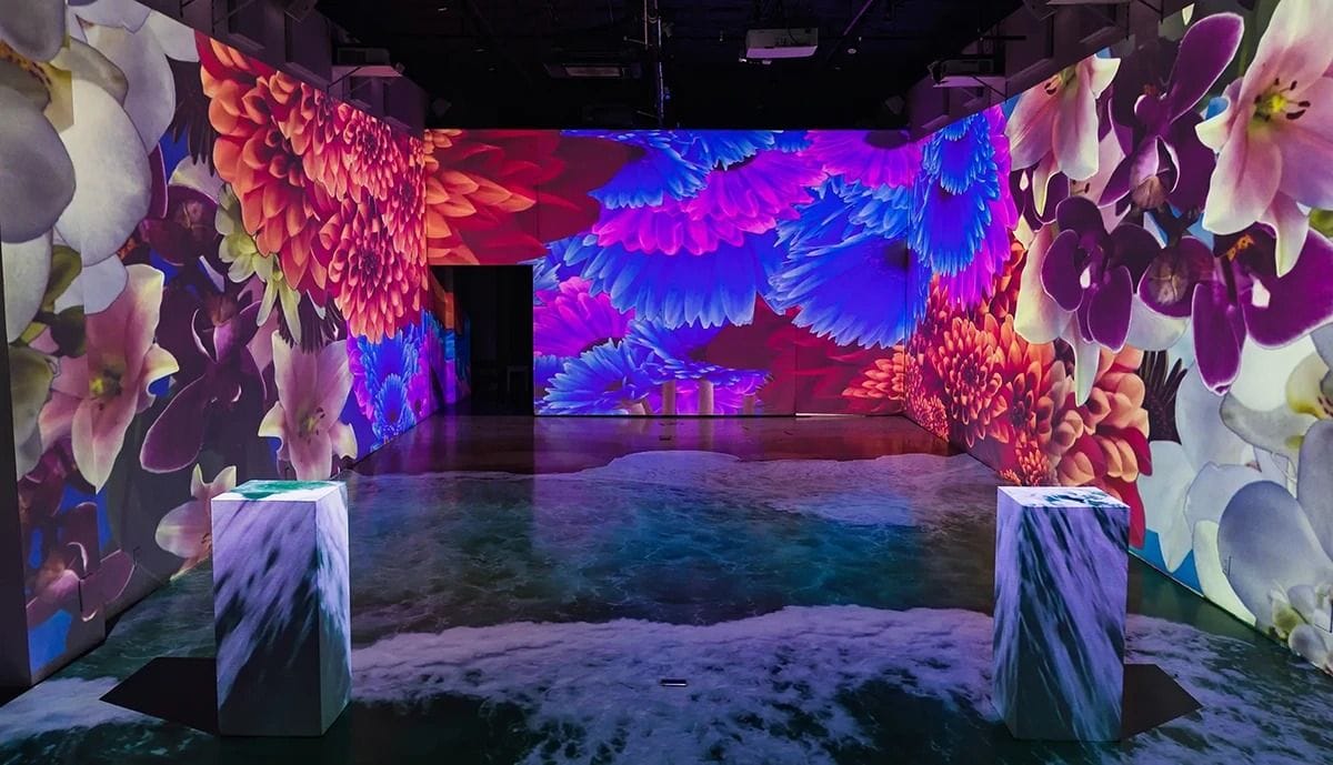 Immersive studio experiences in TriBeCa: LUME Studios1