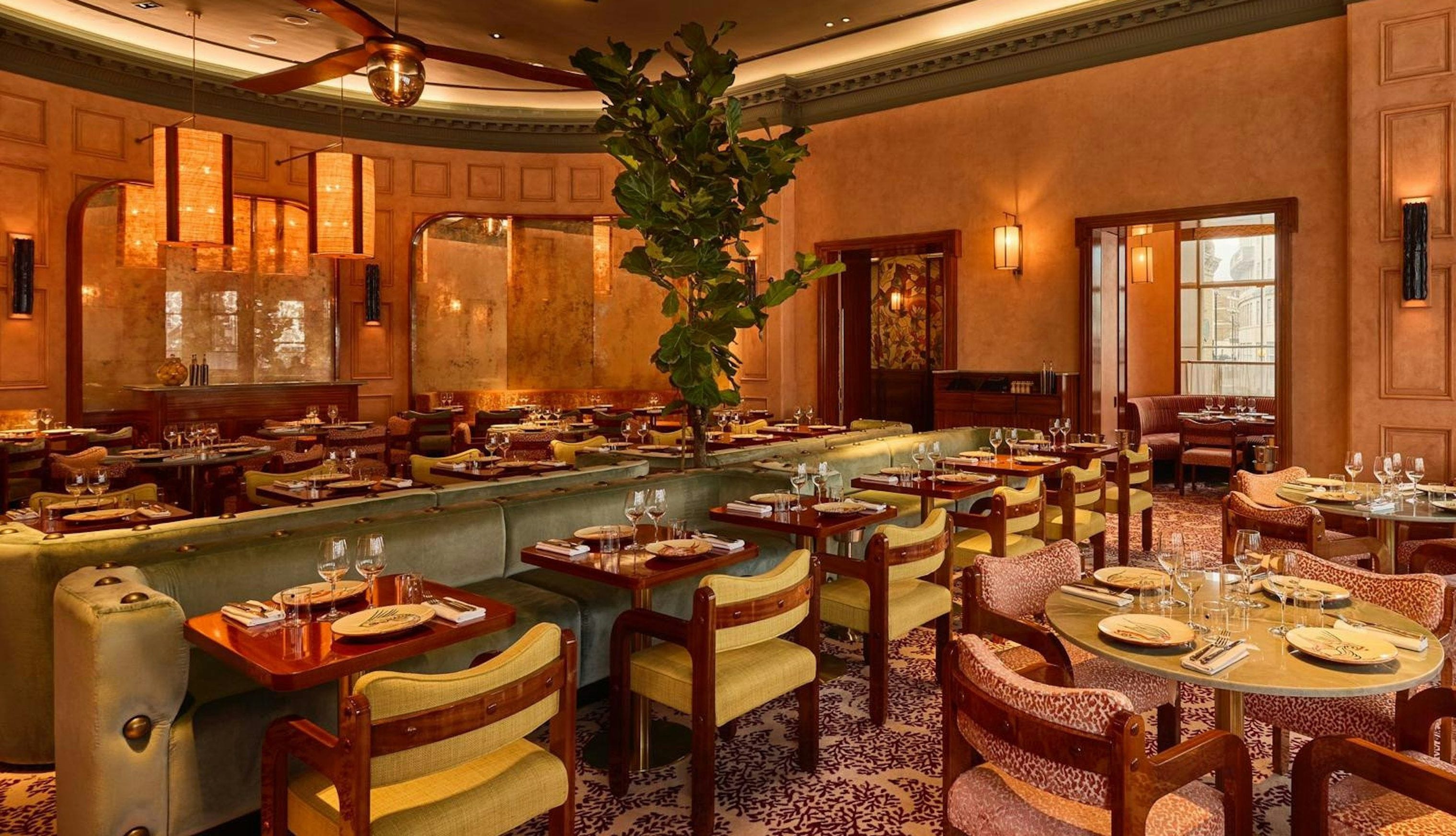 mimosa at the langham london