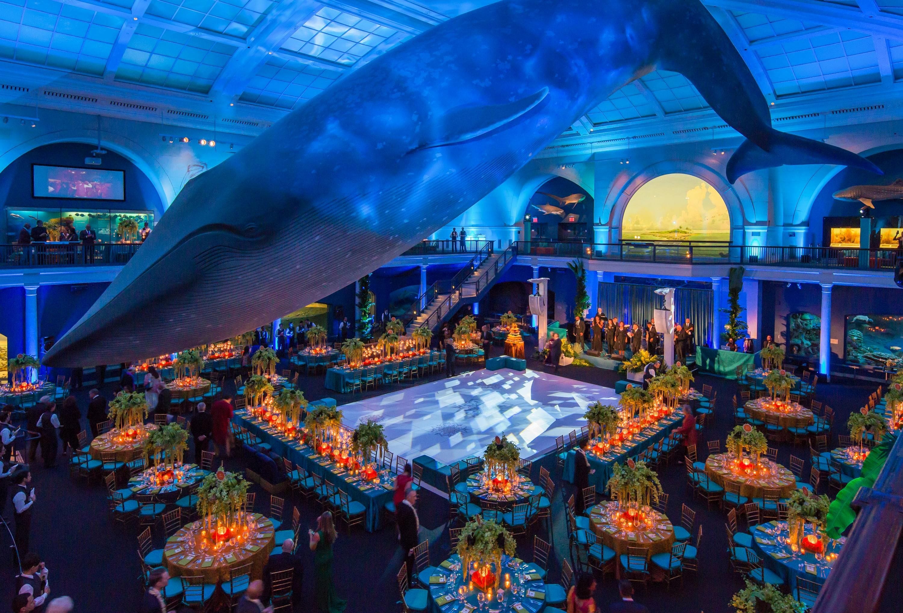natural history museum private corporate events venue upper west side nyc