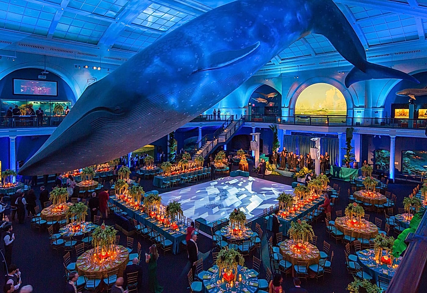 natural history museum private corporate events venue upper west side nyc