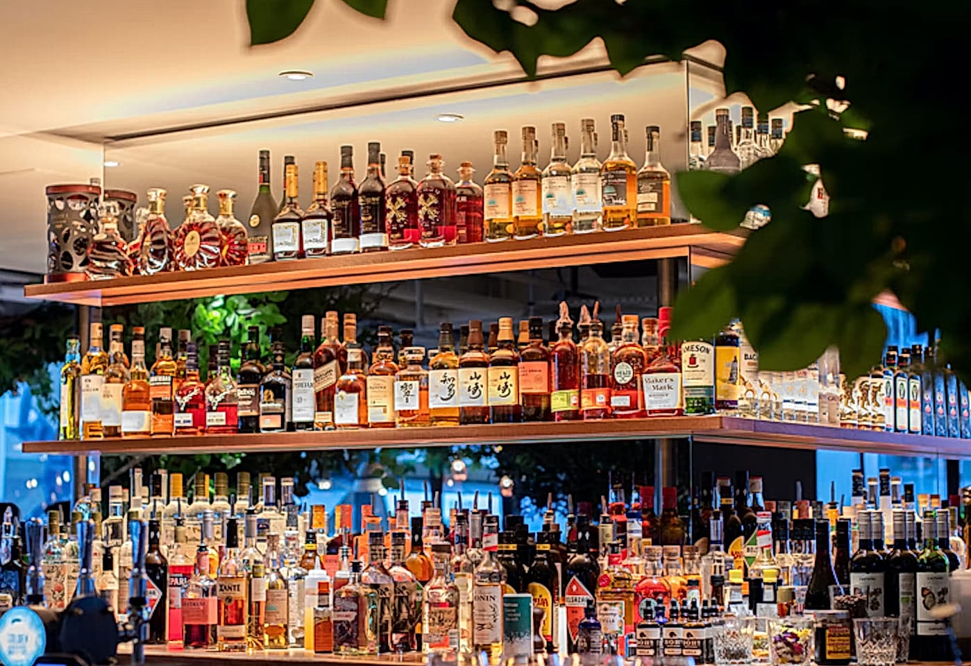 pergola on the wharf canary wharf cocktail bars 3