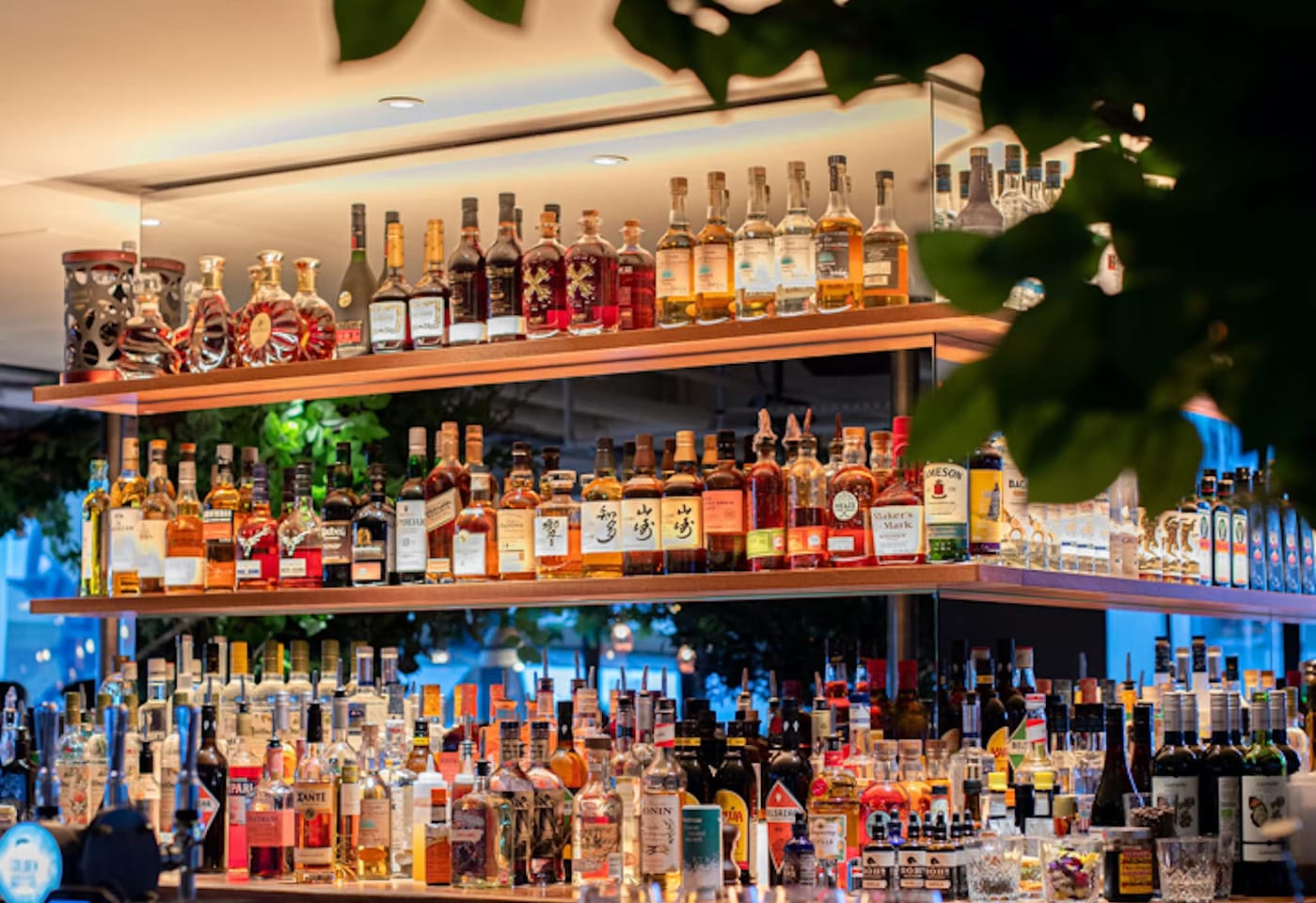 pergola on the wharf canary wharf cocktail bars 3