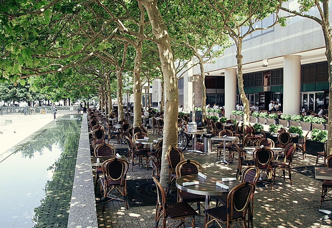 pj clarkes hudson tribeca birthday party